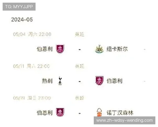 新赛季晋级英超的升班马球队介绍及前景预测